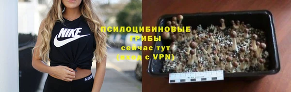 тгк Михайловск