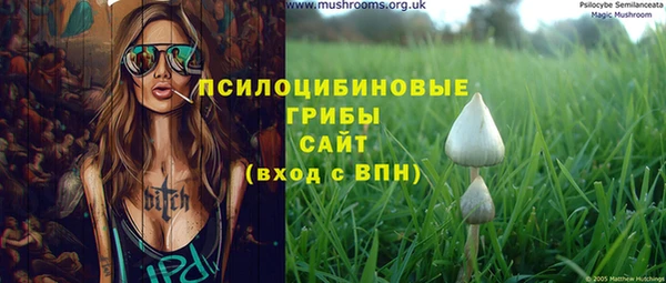 PSILOCYBIN Медвежьегорск