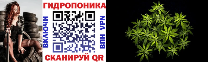 Канабис индика  Кириллов 